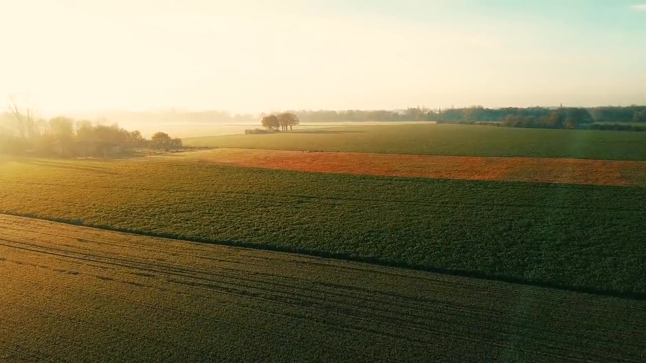 Aerial view of farm fields at sunrise